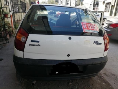Fiat palio young
