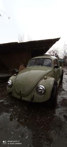 VW escarabajo 81