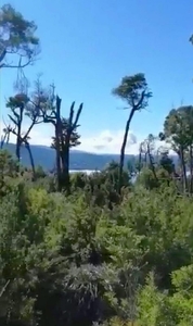 Parcela en Venta en Leuquetro Chonchi, Chiloe