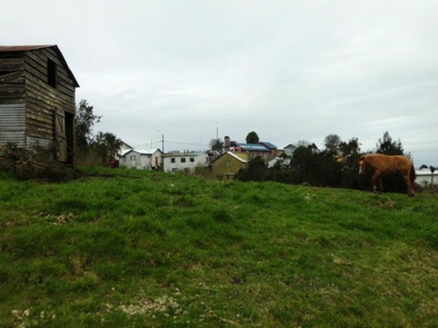 Terreno en Venta en Queilén, Chiloe