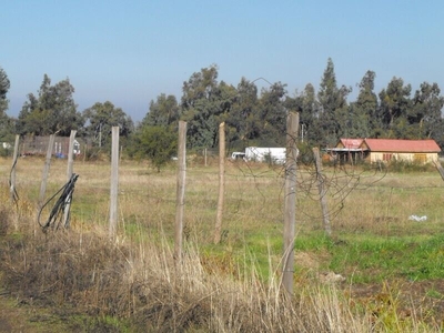 Agrícola Venta Santiago Colina (Chicureo)