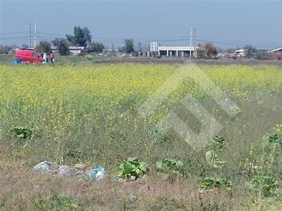 Agrícola Venta Santiago Colina (Chicureo)