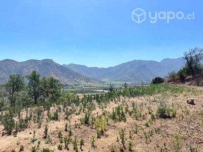 Terreno 5000 m2 con vista al valle río Aconcagua