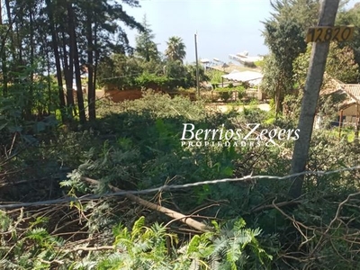 Sitio o Terreno en Venta en Vichuquén / Berríos Zegers Propiedades