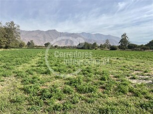 Propiedad Agricola en Venta en Rinconada / Lavalsil Corredores de Propiedades