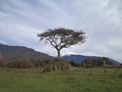 Rio puelo ,4 hectareas planas ,frente a termas