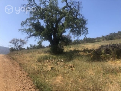 PARCELAS DE 20000 M2 CAMINO EL TORO CURACAVI Curac