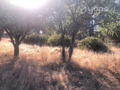 Parcela SAN JUAN DE POPETA Melipilla