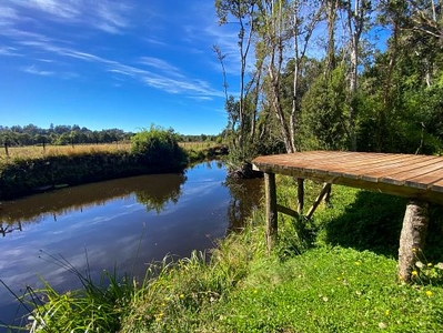 Bella parcela, orilla río, los muermos, chucao