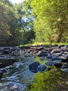 Terreno en Venta en El Prado Rivera río Donguil Villarrica, Cautin
