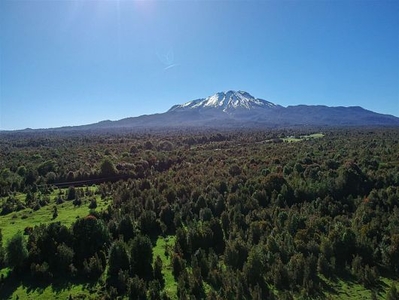 Venta Agricola Puerto varas Campo de 20 Ha en sector Río Pescado, a 8,5km desde la ruta 225