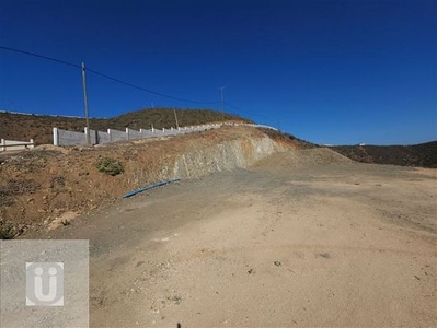 Venta Parcela La serena fundo loreto altovalsol