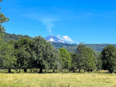 Venta parcelas praderas de pucón - palguín bajo