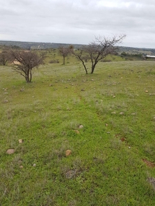 Terreno en Venta en La Estrella, Cardenal Caro