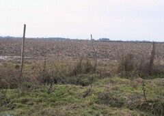 Agricola en Venta en bodegas Longaví, Linares