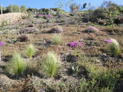 Terreno en Venta en Algarrobito La Serena, Elqui