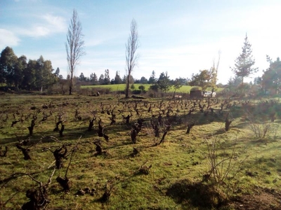 Terreno en Venta en San Nicolas San Nicolás, Ñuble