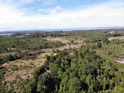 Terreno de 20 Ha con praderas y bosque nativo en el sector de Pargua