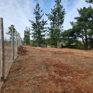 Agricola en Venta en Pichilemu, Cardenal Caro