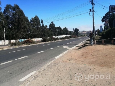 Sitio camino internacional ViñA Del Mar