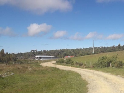 Parcela en Venta en Los Muermos, Llanquihue