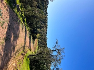 Terreno en Venta en Navidad, Cardenal Caro