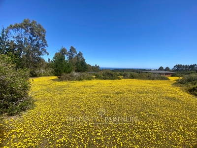 Pichilemu, Terreno en Loteo rural con vista al mar