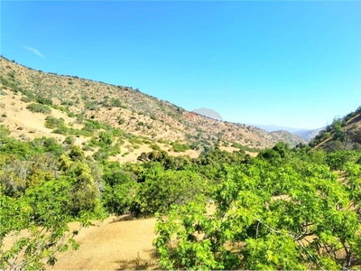 Terreno Venta Los Vilos, Choapa, Coquimbo