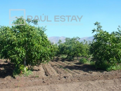 Terreno en Venta en Llaillay, San Felipe de Aconcagua