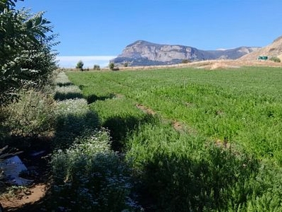 Venta Agricola Coihaique Valle simpson a 10 kilómetros de coyhaique