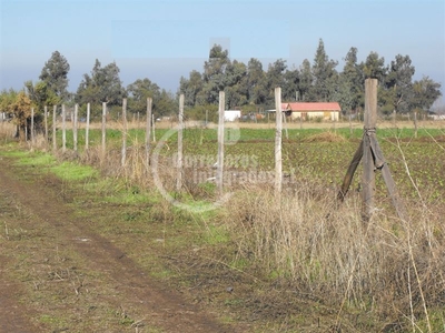 Sitio o Terreno en Venta en Colina / Schumacher Propiedades