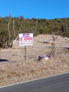 Terrenos en venta litueche / 5000m2