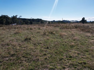 Vendo terreno en región de los lagos