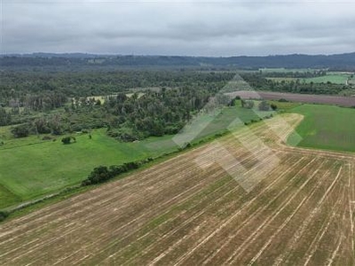 Venta Agricola La unión puerto nuevo lago ranco