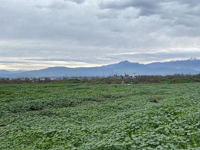 Venta Sitio San felipe fundo cerro Mahuco