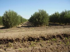 Agricola en Venta en Santa Bárbara, Biobio