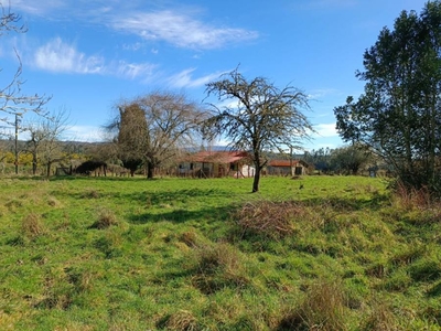 Agricola en Venta en Folilco Los Lagos, Valdivia