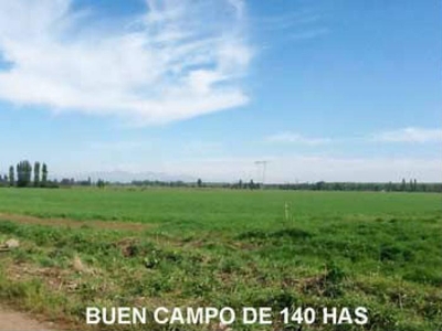 Agricola en Venta en Retiro, Linares