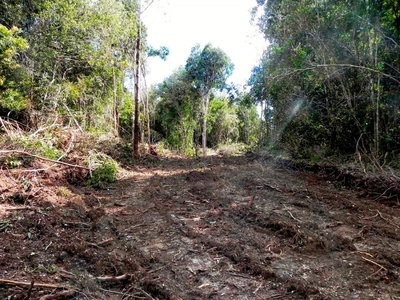 Terreno en Venta en Corral, Valdivia