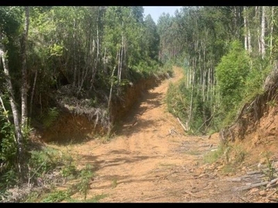 Terreno en Venta en Paillaco, Valdivia