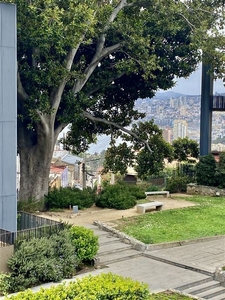 Valparaíso, parque magnolio