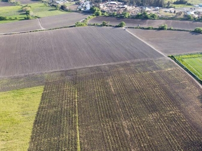 Agricola en Arriendo en Maule, Talca