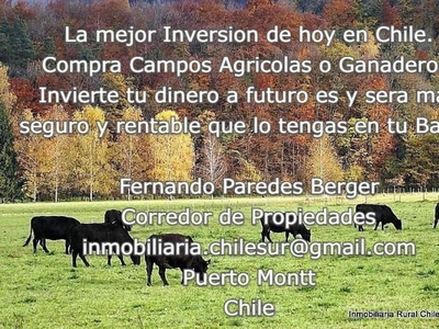 Agricola en Venta en Sur de Chile, Cochamó, Chaitén, Palena, Aysén Puerto Montt, Llanquihue