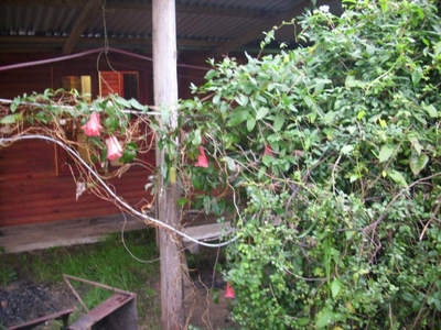 Casa en Venta en sector los colihues Los Lagos, Valdivia