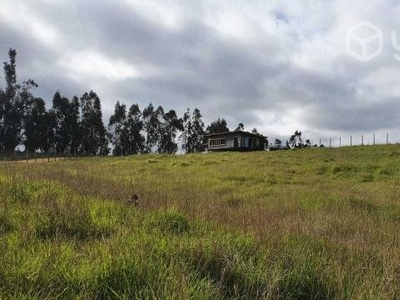 Parcela de 5000mts con casa en Paredones