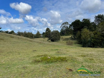 Parcela en Venta en Puerto Montt, Llanquihue