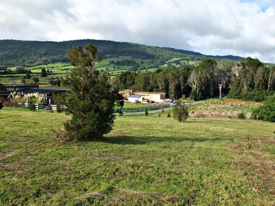 Parcela en Venta en Sector Los Riscos Puerto Varas, Llanquihue