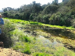 Venta sitio casablanca increíble terreno te invita a un encuentro con la naturaleza