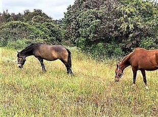 Venta Sitio Quintero Loteo // Condominio Raíces de Mantagua.