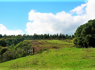 Venta Sitio Quintero Loteo//Condominio Raíces de Mantagua.